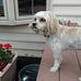 Susan Dattilo - Facebook