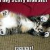 Susan Dattilo - Facebook
