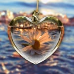 Susan Deady - @sudse_susan - Instagram