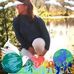 Susan DeBlois - Facebook