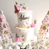 Susan de Cacsire - @susandecacsire - TikTok