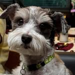 Susan J DeCourcy - @susan.decourcy - Instagram