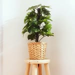 Susana Ávila  [Home & Deco] - @susandecora - Instagram
