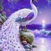Susie Decamp - Facebook