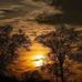 Susan Al Deeb - Facebook