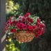 Susan Deeb - Facebook