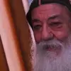 susanadeeb - @susanadeeb - TikTok