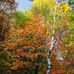 Sue Degner - Facebook