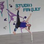 susan de jong maatman - @susan_de_jong_studio_firelily - Instagram