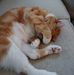 Susan DelConte - Facebook