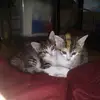 Susan Delk - @susan.delk3 - TikTok