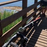 Susan Denner - @denner3499 - Instagram