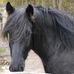 Susanne Denner - Facebook
