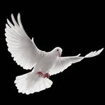 Susan Denning - Facebook