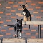 Susan Denning - @susan.p.denning - Instagram