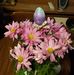 Susan Dennington - Facebook