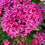 Susan Detweiler - Facebook