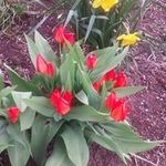 Susan Detweiler - @bejiou2 - Instagram