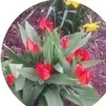 Susan Detweiler - @bejio.u2 - Instagram