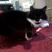 Susan Dever - Facebook
