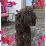 Susan Dever - @susandever110 - Instagram