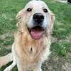 Susan Devito36 - @susandevito111 - TikTok