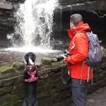 Susan Devlin - @susandevlin162 - Instagram