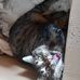 Susanne Didier - Facebook