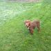 Susan C Dieringer - Facebook