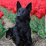 Susanne Dieringer - @dieringersusanne - Instagram