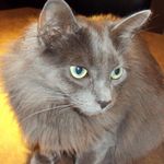 Susan Dignan - @sezd59 - Instagram