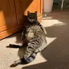 susandingle8 - @susandingle8 - TikTok