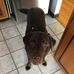Susan Dionne - Facebook