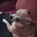 Susan Dionne - Facebook