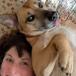 Susan DiPaolo - @notmissinout - Instagram