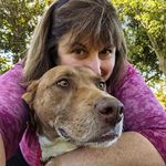Susan Dipaolo - @susan_dipaolo - Instagram