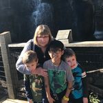Susan Dittmar Lough - @suslou1 - Instagram