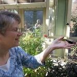 Susan Haskell Divine - @susan.divine - Instagram