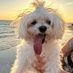Susan Dodge - @susan_dodge727 - Instagram