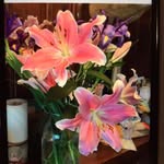 Susan Dodge - @susandodge84 - Instagram