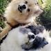 Susan Dodge - Facebook