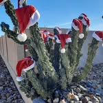 Susan Dollarhide - @susanmcj.doll60 - Instagram
