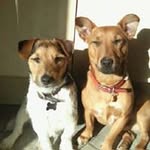 Susan Dorey - @susan.dorey - Instagram