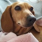 Susan Dorris - @susandorris1953 - Instagram