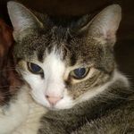 Susan Dougherty - @susan.dougherty.71 - Instagram
