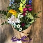 Susan Dougherty - @susandougherty46 - Instagram
