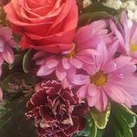 Susan Dougherty - @susan.dougherty.73 - Instagram