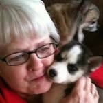 Susan Andrews - @susan.andrews1950 - Instagram
