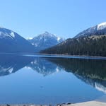Susan Drews - @svioletf - Instagram