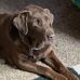 Susan Drews - Facebook